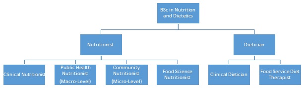 Fig. 1.1 Internship Framework for Continuous Professional Development